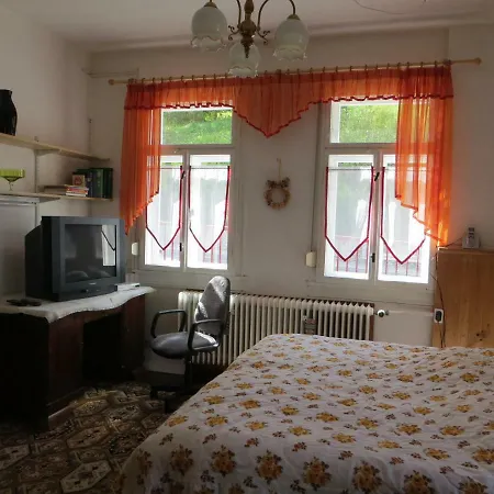 Thueringerwald - Fewo Apartment Stützerbach